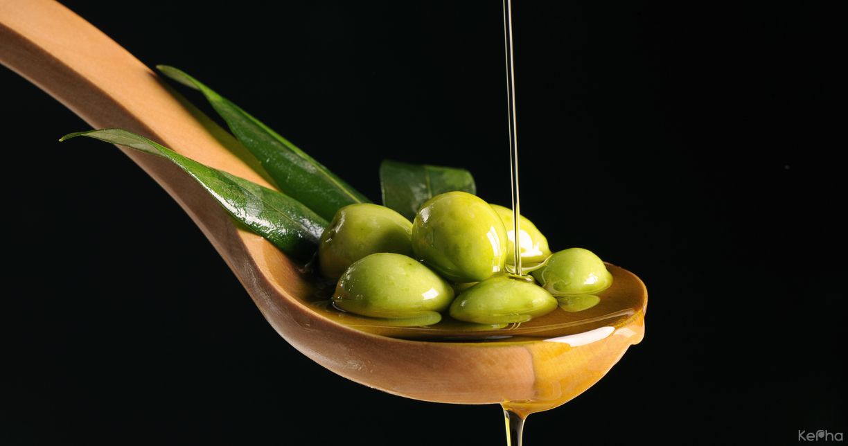 Tất Cả Về Dầu Olive