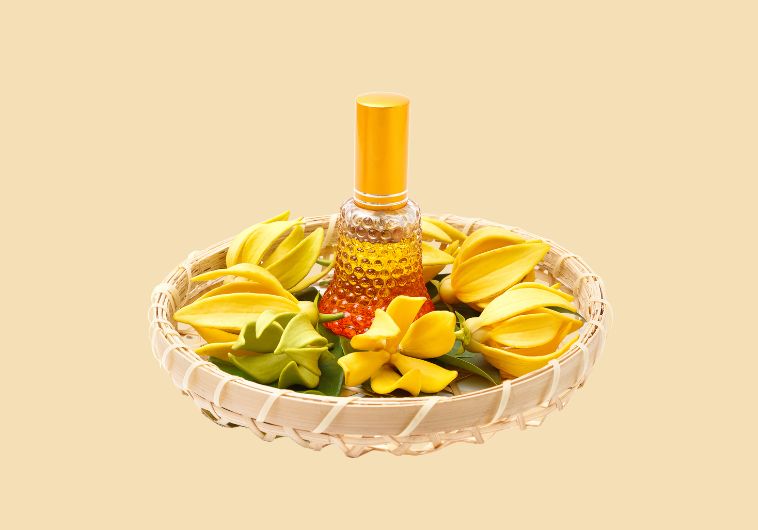 8 Công Dụng Tuyệt Vời Của Tinh Dầu Ngọc Lan Tây