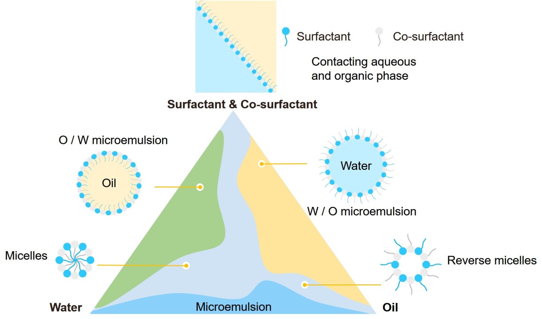 Biểu đồ pha của hệ microemulsion