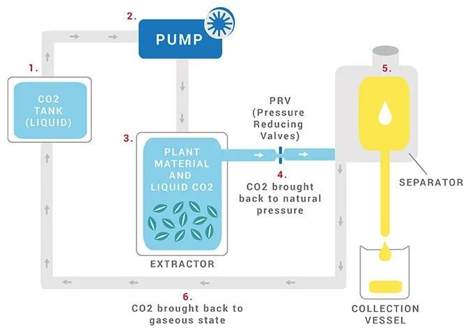 Phương pháp chiết xuất CO2