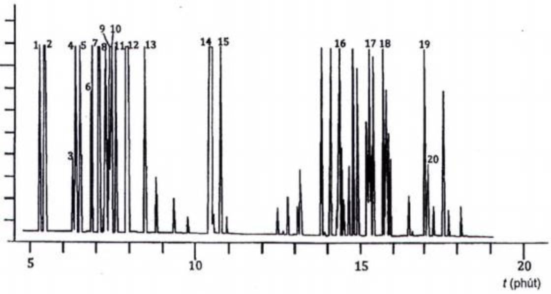 Sắc ký đồ điển hình thu được trên cột không phân cực