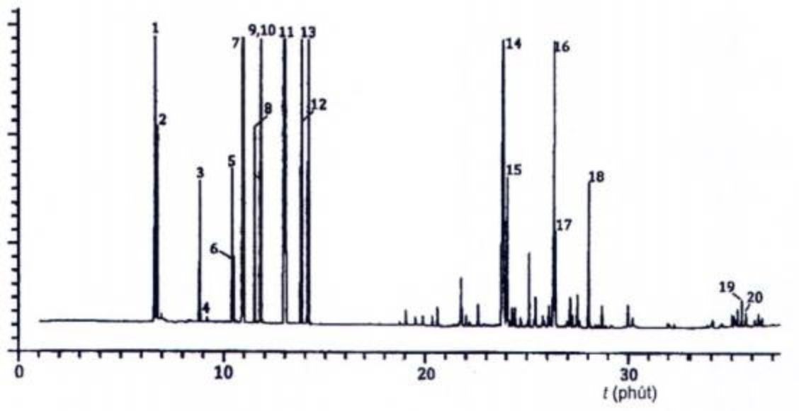 Sắc ký đồ điển hình thu được trên cột phân cực trung bình
