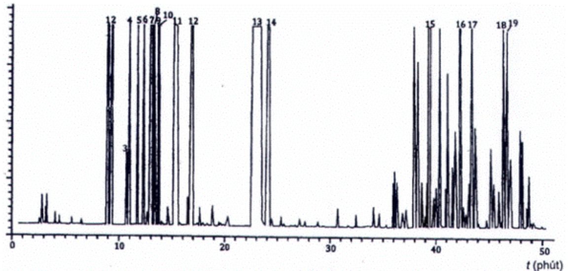 Sắc ký đồ điển hình của tinh dầu tràm trà